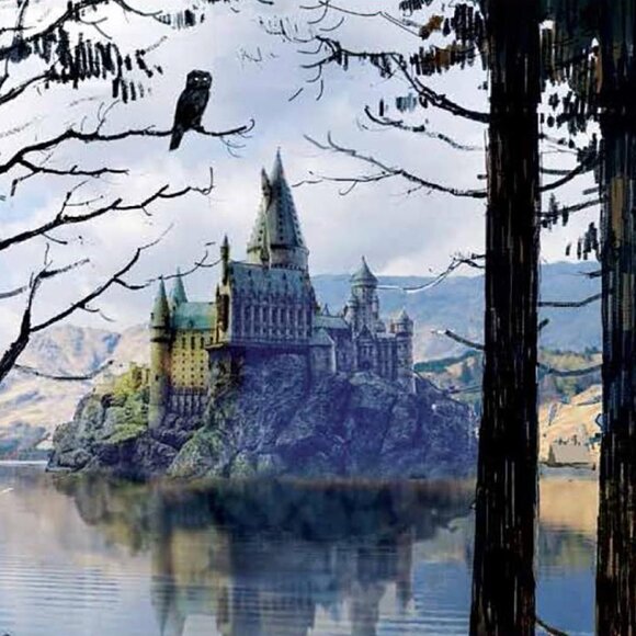 New Harry Potter Courage Guided Gryffindor Journal - Picture 7 of 8